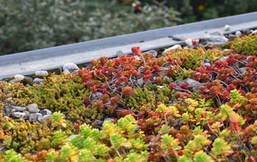 the cost of Stanground green roof installation