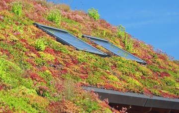 Stanground living roof systems
