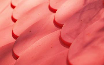 Stanground plastic roof costs